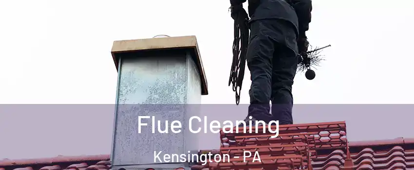 Flue Cleaning Kensington - PA