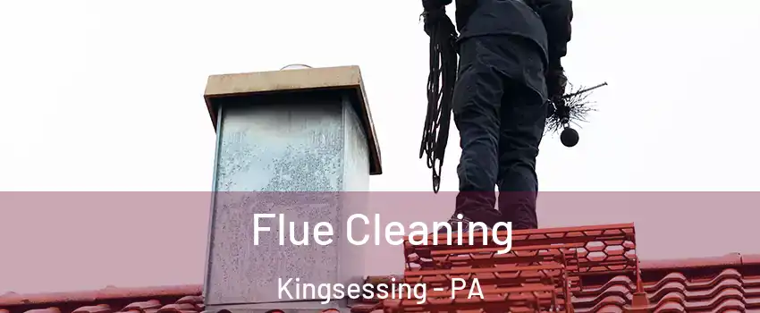 Flue Cleaning Kingsessing - PA