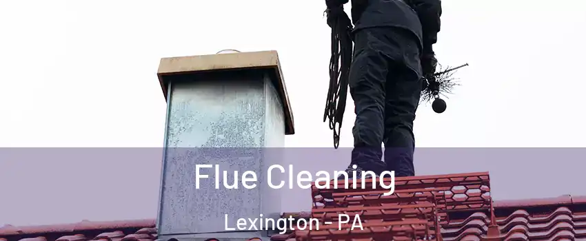 Flue Cleaning Lexington - PA