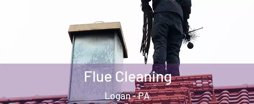 Flue Cleaning Logan - PA
