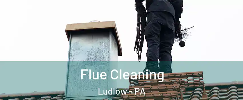 Flue Cleaning Ludlow - PA
