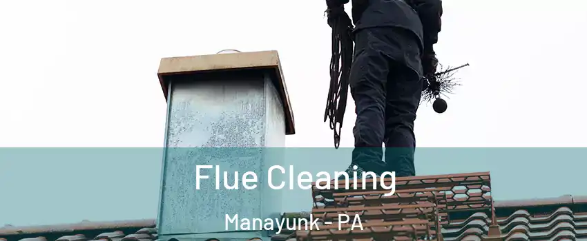 Flue Cleaning Manayunk - PA