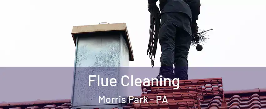 Flue Cleaning Morris Park - PA