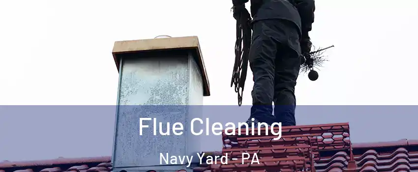 Flue Cleaning Navy Yard - PA