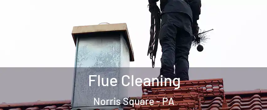 Flue Cleaning Norris Square - PA
