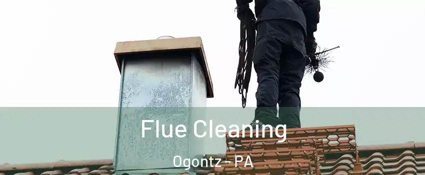 Flue Cleaning Ogontz - PA