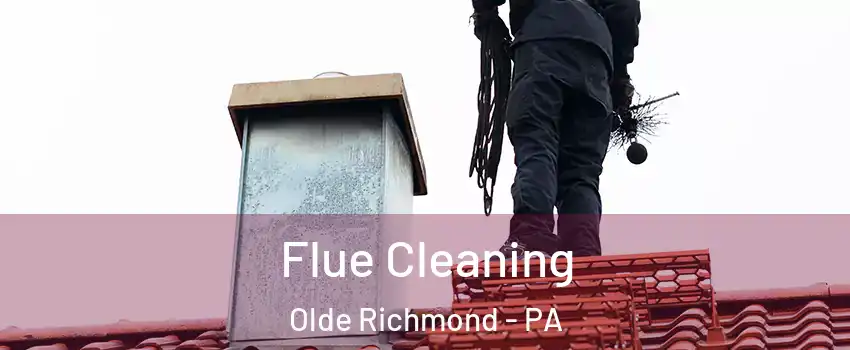 Flue Cleaning Olde Richmond - PA