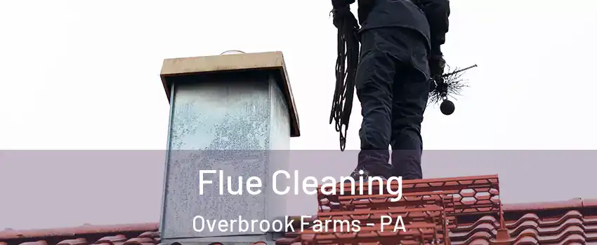 Flue Cleaning Overbrook Farms - PA