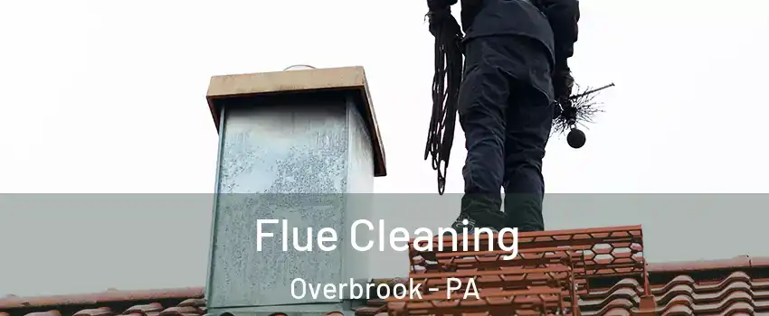 Flue Cleaning Overbrook - PA