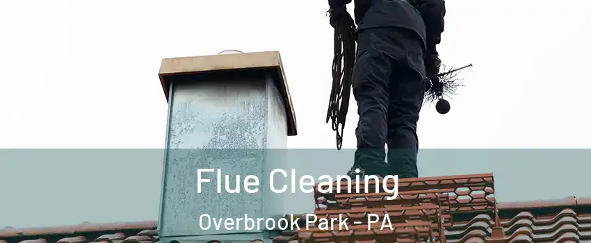 Flue Cleaning Overbrook Park - PA