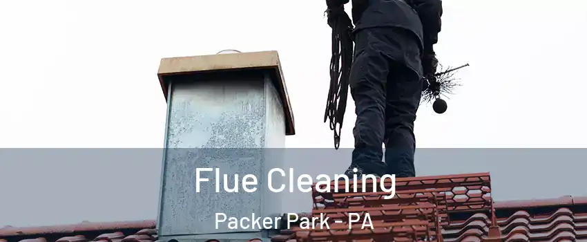 Flue Cleaning Packer Park - PA