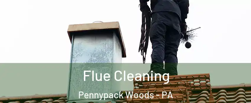 Flue Cleaning Pennypack Woods - PA