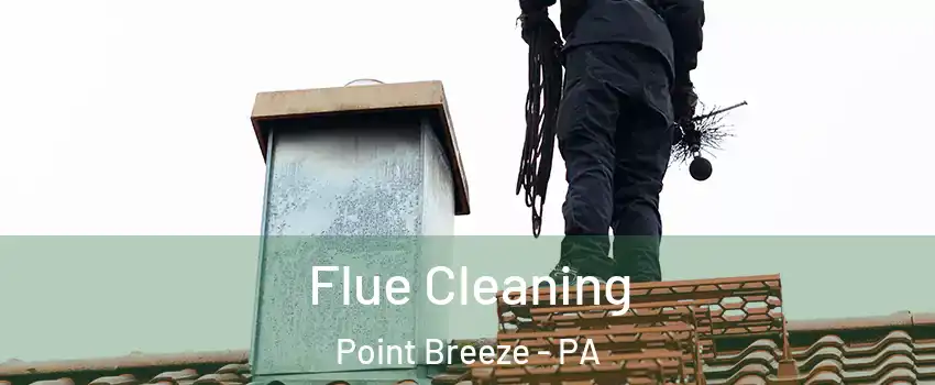Flue Cleaning Point Breeze - PA