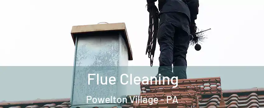 Flue Cleaning Powelton Village - PA