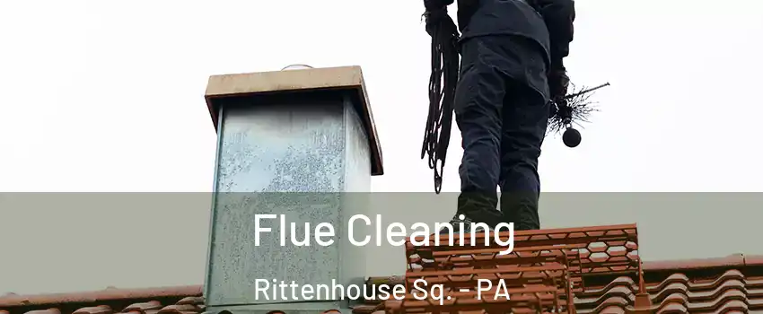 Flue Cleaning Rittenhouse Sq. - PA