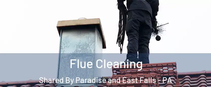 Flue Cleaning Shared By Paradise and East Falls - PA