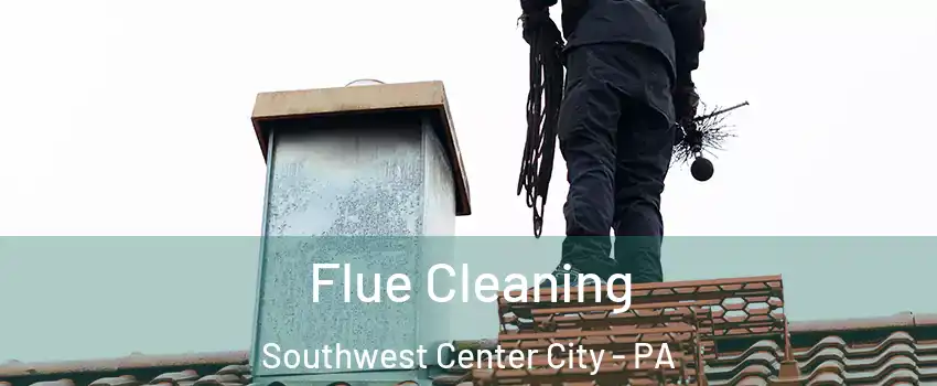 Flue Cleaning Southwest Center City - PA