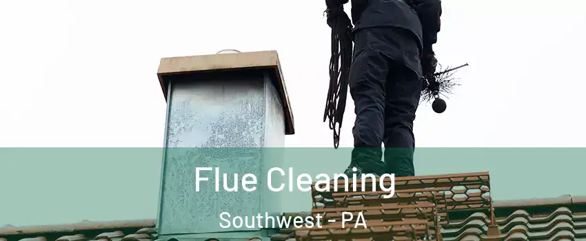 Flue Cleaning Southwest - PA