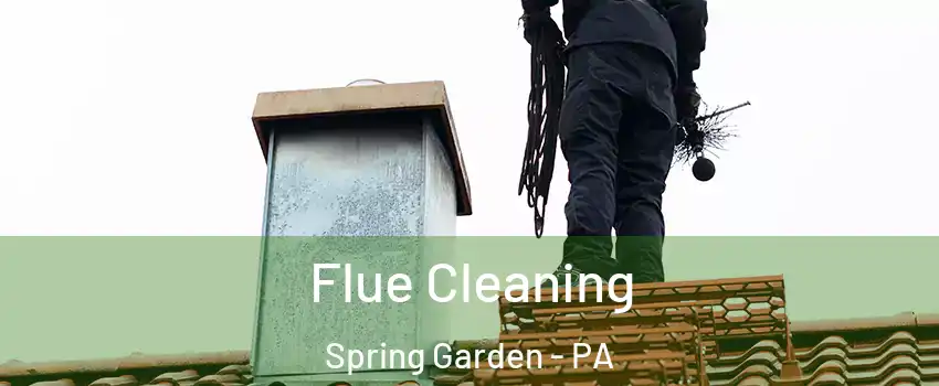 Flue Cleaning Spring Garden - PA