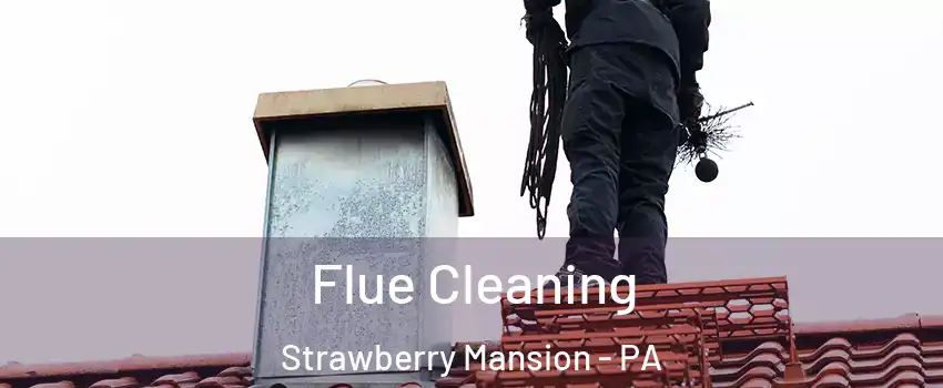 Flue Cleaning Strawberry Mansion - PA