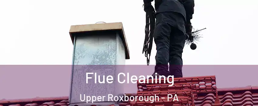 Flue Cleaning Upper Roxborough - PA