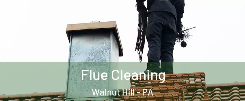 Flue Cleaning Walnut Hill - PA