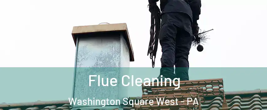 Flue Cleaning Washington Square West - PA
