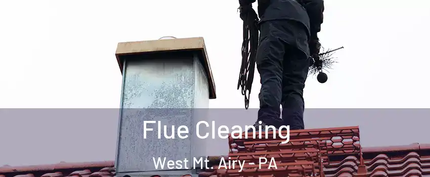 Flue Cleaning West Mt. Airy - PA