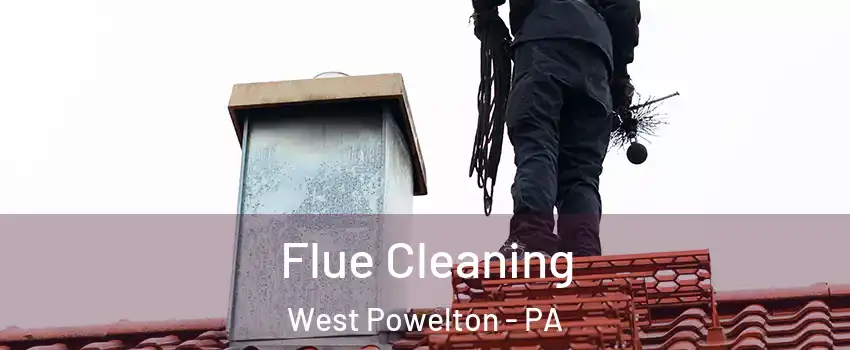 Flue Cleaning West Powelton - PA