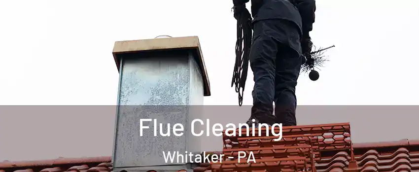 Flue Cleaning Whitaker - PA