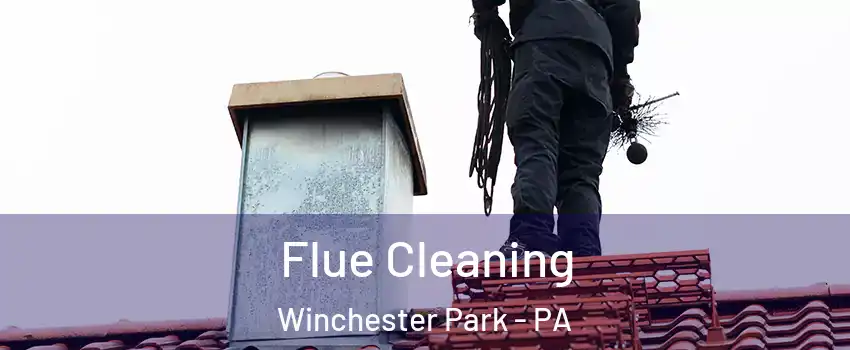 Flue Cleaning Winchester Park - PA
