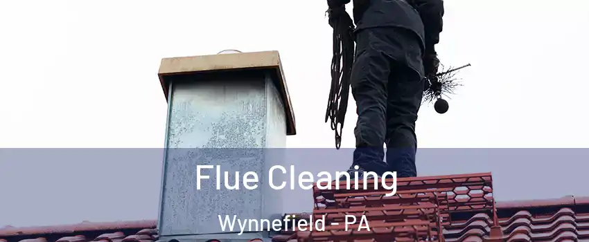 Flue Cleaning Wynnefield - PA