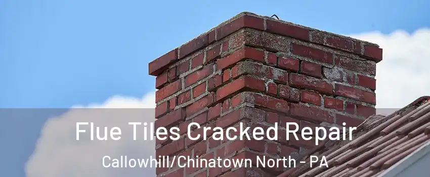 Flue Tiles Cracked Repair Callowhill/Chinatown North - PA