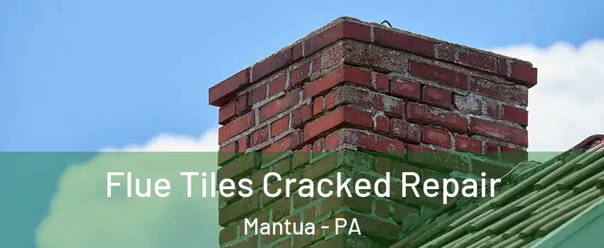 Flue Tiles Cracked Repair Mantua - PA