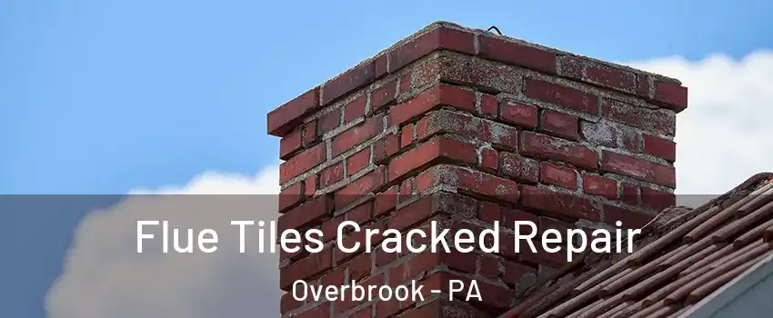 Flue Tiles Cracked Repair Overbrook - PA