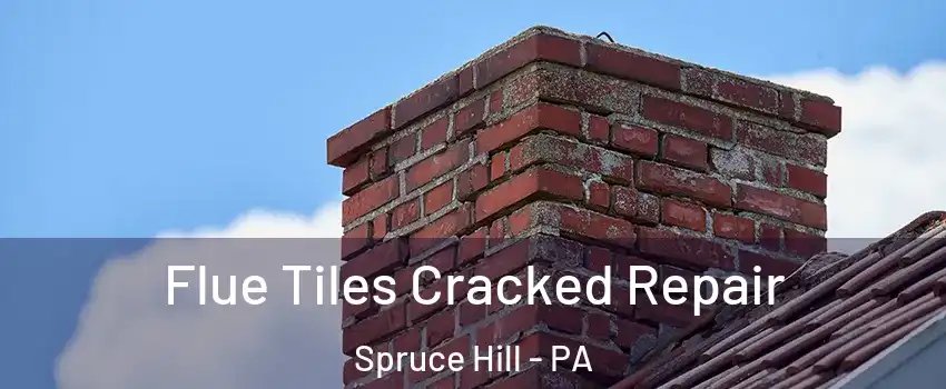 Flue Tiles Cracked Repair Spruce Hill - PA