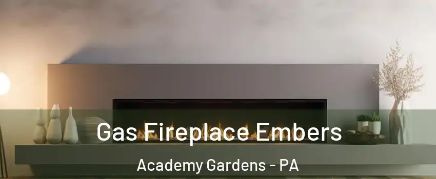 Gas Fireplace Embers Academy Gardens - PA