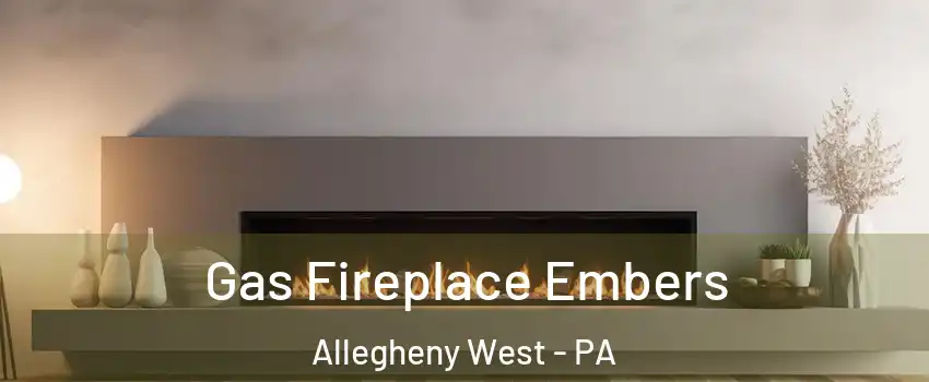 Gas Fireplace Embers Allegheny West - PA