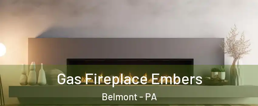 Gas Fireplace Embers Belmont - PA