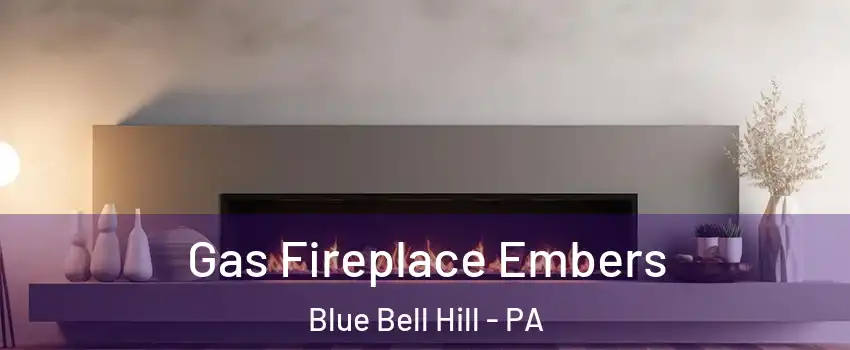 Gas Fireplace Embers Blue Bell Hill - PA