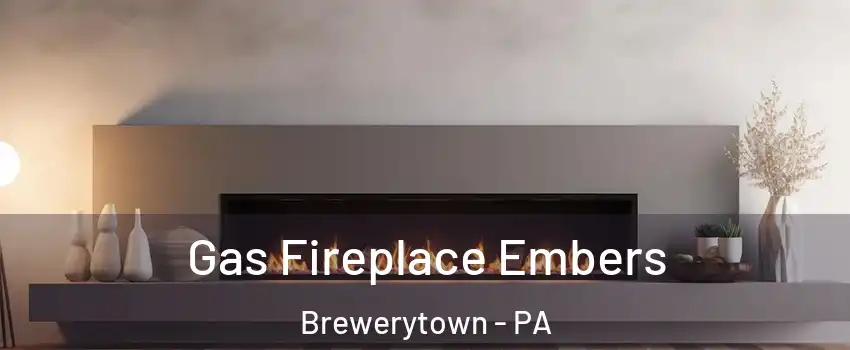 Gas Fireplace Embers Brewerytown - PA