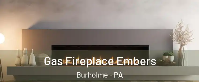 Gas Fireplace Embers Burholme - PA
