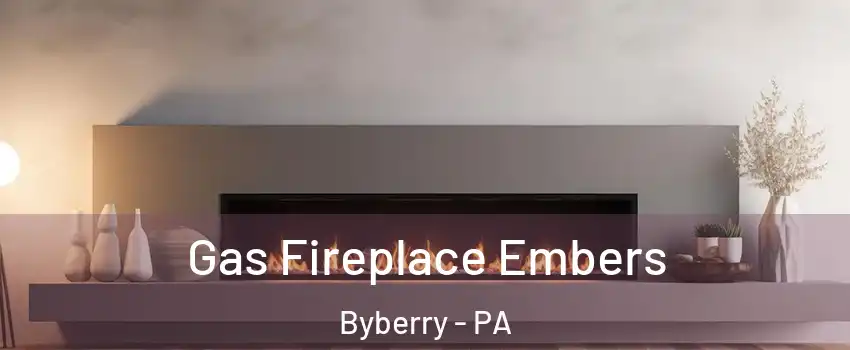 Gas Fireplace Embers Byberry - PA