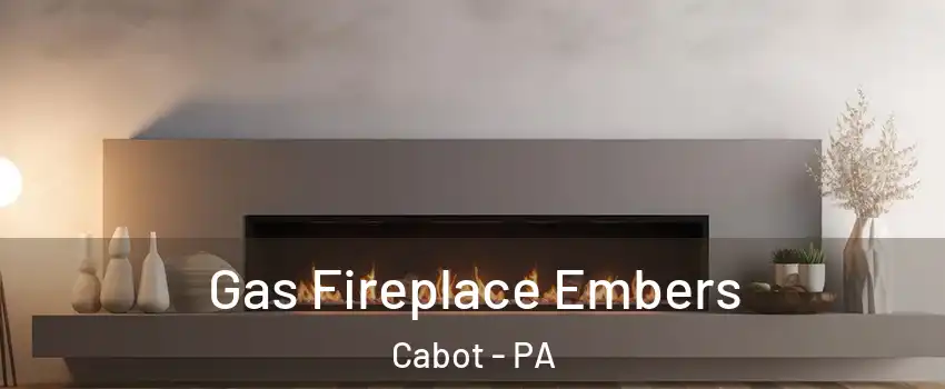 Gas Fireplace Embers Cabot - PA