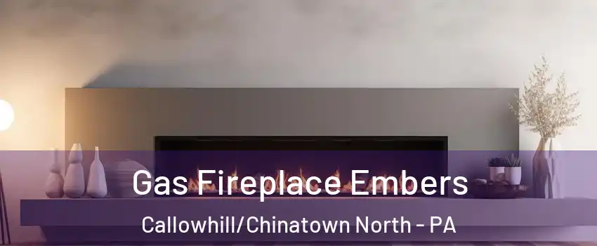 Gas Fireplace Embers Callowhill/Chinatown North - PA