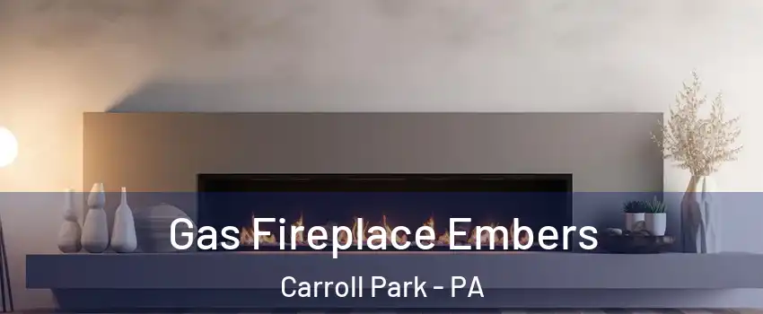 Gas Fireplace Embers Carroll Park - PA