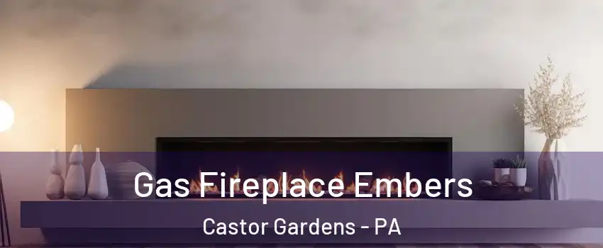 Gas Fireplace Embers Castor Gardens - PA