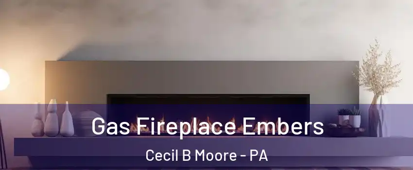 Gas Fireplace Embers Cecil B Moore - PA