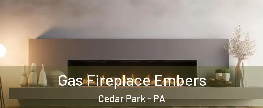 Gas Fireplace Embers Cedar Park - PA