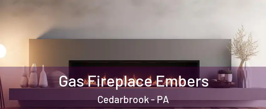 Gas Fireplace Embers Cedarbrook - PA